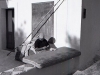 img004