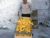 img025