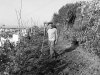 img956