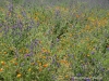 001-IMG_0179