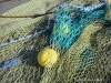 031-dublino_2009_196