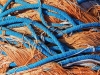 040-DSCN0021
