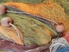 044-DSCN0586