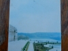 DSCN9884